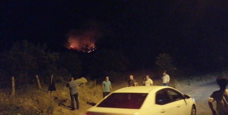 Manisa’da orman yangını başladı