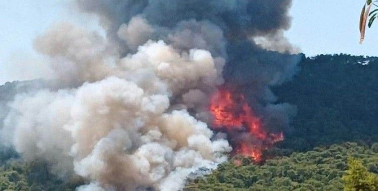 Marmaris’teki orman yangınının ilk başladığı ana ait görüntüler ortaya çıktı