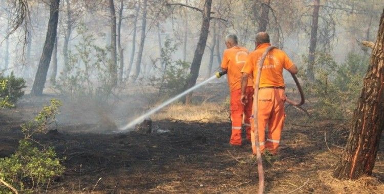 Kilis’te kontrol altına alınan orman yangını yeniden alevlendi