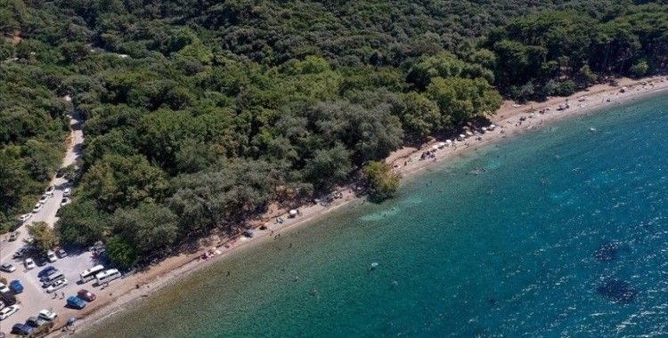 Aydın'daki Dilek Yarımadası'na giriş çıkışlar yasaklandı