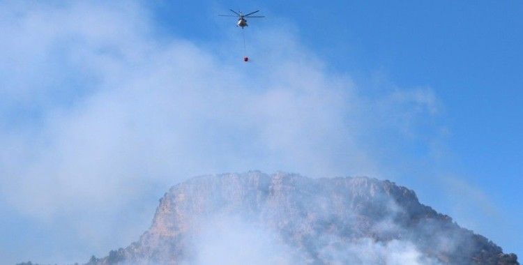 Kozan'da orman yangını devam ediyor, havadan müdahale başladı