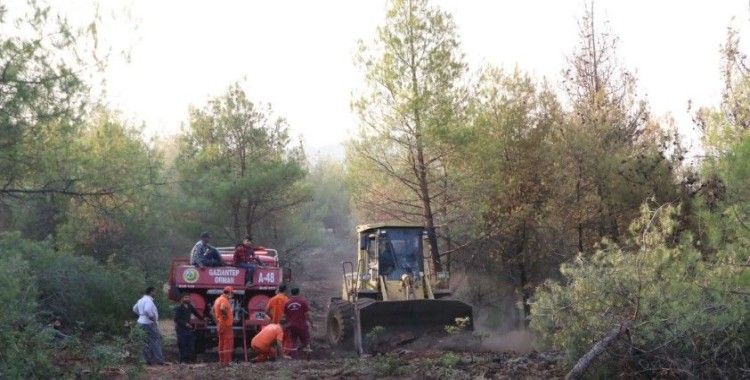Gaziantep Belediyesi, Kilis'teki orman yangınına 70 bin fidanla merhem olacak