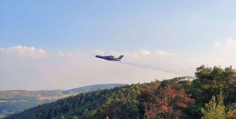 Rusya, Türkiye'ye orman yangınıyla mücadele için 11 hava aracı gönderecek
