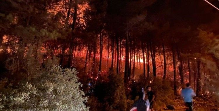 Fethiye'de orman yangını