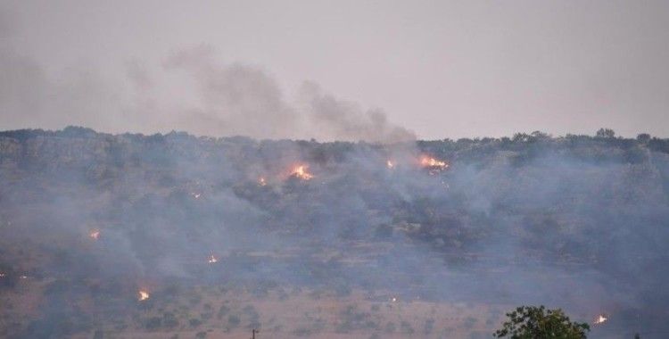 Gaziantep’te çıkan orman yangını kontrol altına alındı