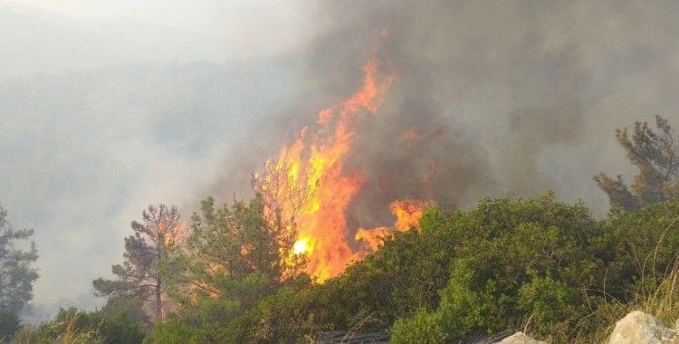 Milas'ta başlayan orman yangını Bodrum'a sıçradı, söndürme çalışmaları devam ediyor