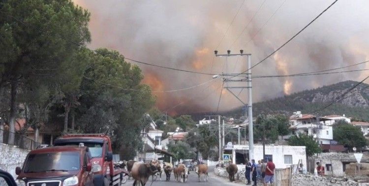 Milas'ta alevler yerleşim bölgesine ulaştı, Gökbel köyü boşaltıldı