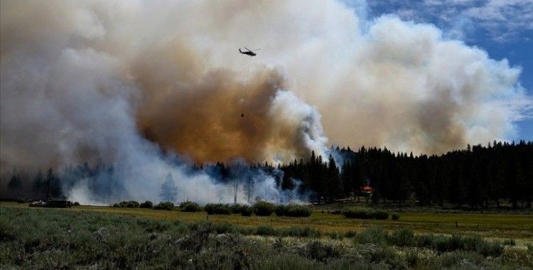ABD'deki orman yangınlarında New York, Los Angeles ve Chicago kentlerinin toplamı büyüklüğünde alan yandı