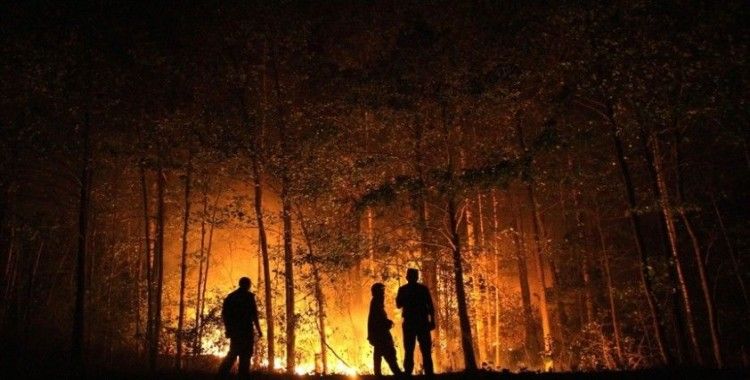 Rusya, doğusundaki orman yangınlarıyla mücadeleyi sürdürüyor