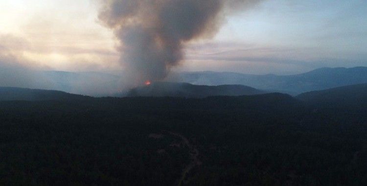 Aydın-Muğla sınırında başlayan orman yangına müdahale sürüyor