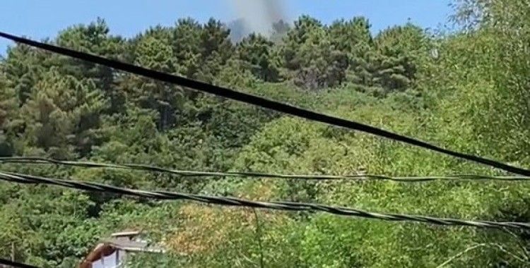 Beykoz'da korkutan orman yangını