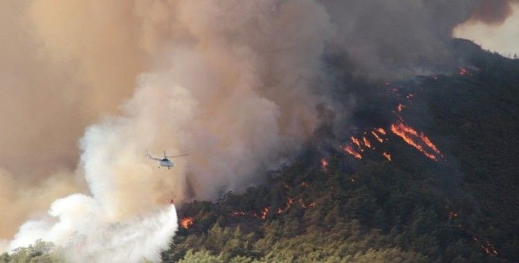 Muğla’da yanan alan 40 bin hektara yaklaştı