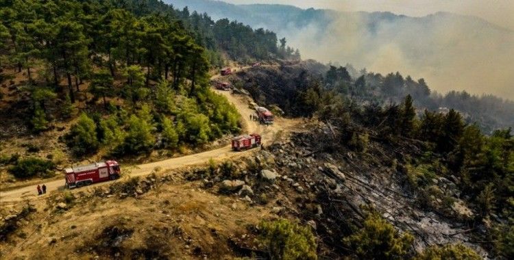 Bakan Koca, yangınlar nedeniyle Antalya ve Muğla'da toplam 16 kişinin tedavisinin sürdüğünü bildirdi