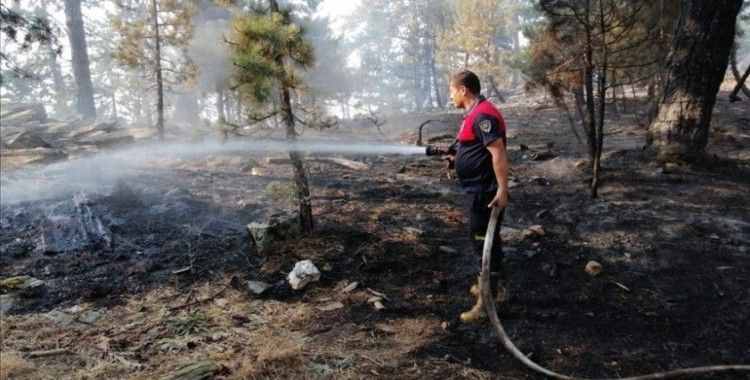 Aydın'daki orman yangınına havadan ve karadan müdahale ediliyor