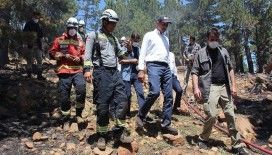 Adalet Bakanı Gül, Muğla'da yanan alanlarda incelemelerde bulundu