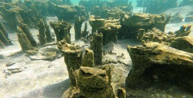 Van Gölü’nde yeni mikrobiyalitler keşfedildi