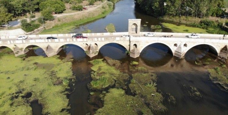 Tunca Nehri çöp ve yosunlarla kaplandı