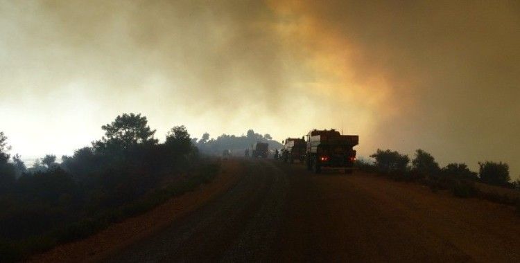 Manavgat’ta jandarmanın yakaladığı yangın şüphelisi hastanede yaşamını yitirdi