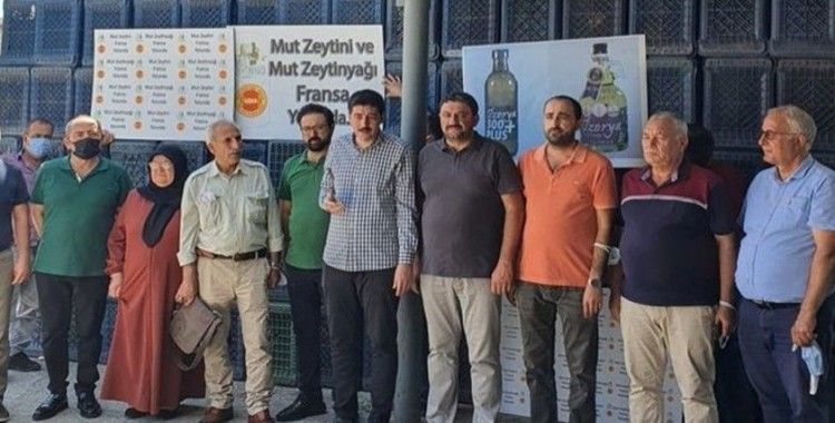 22 bin litre Mut zeytinyağı Fransa’ya ihraç edildi