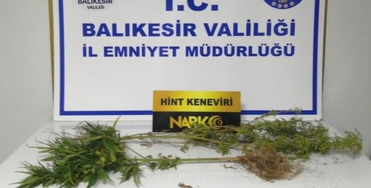Balıkesir'de polisten 31 şahsa gözaltı