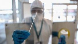 Zorunlu PCR uygulaması, Kovid-19 tanı merkezlerindeki test sayısını artırdı