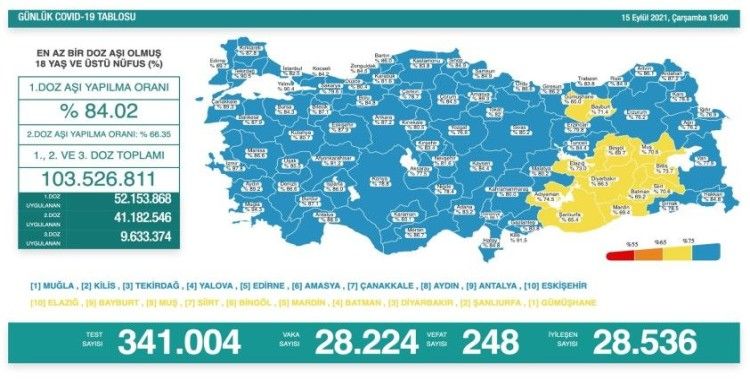 Türkiye'de son 24 saatte 248 can kaybı yaşandı, 28 bin 224 yeni vaka tespit edildi