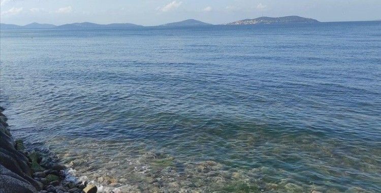 Marmara Denizi'nde yeni tehlike 'oksijen azlığı'