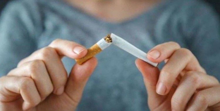 Prof. Dr. Ayhan: Sigara içmeyin, kanseri engellersiniz