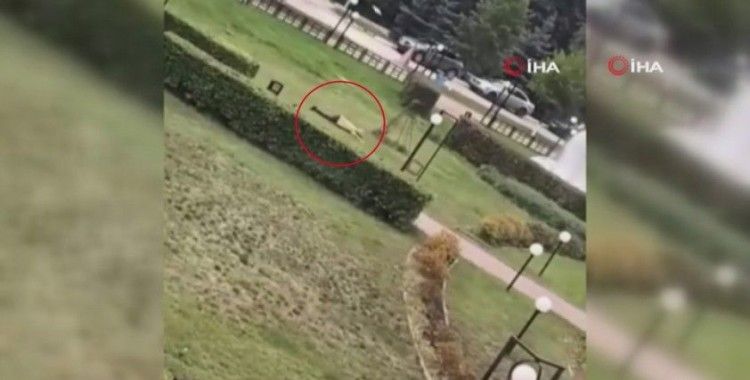 Rusya’da bir üniversitede silahlı saldırı: 3 ölü