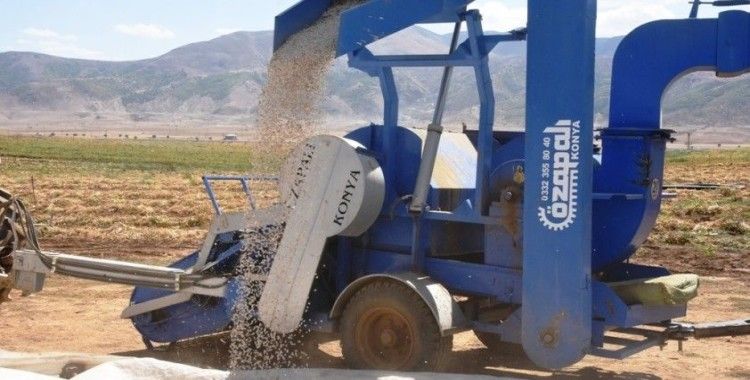 Bitlis’te bu yıl 40 bin ton fasulye hasadı bekleniyor