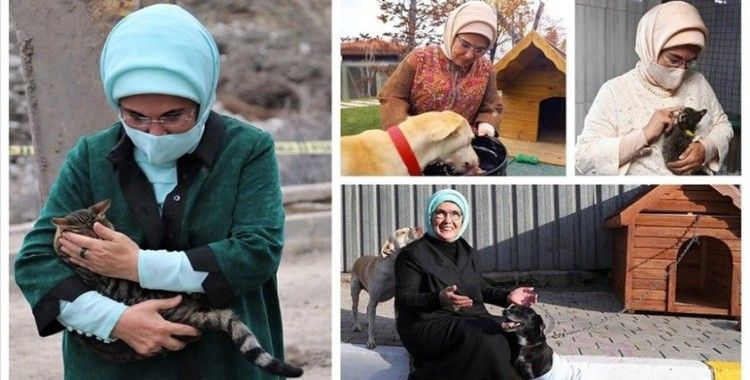 Emine Erdoğan'dan 'Hayvanları Koruma Günü' paylaşımı: Can dostlarımıza destek olmak hepimizin ortak sorumluluğu