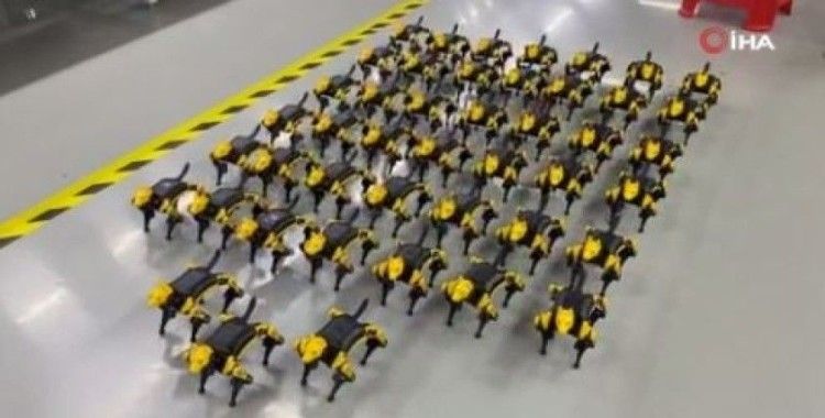 Çin’de geliştirilen evcil robot hayvanlara ilgi artıyor