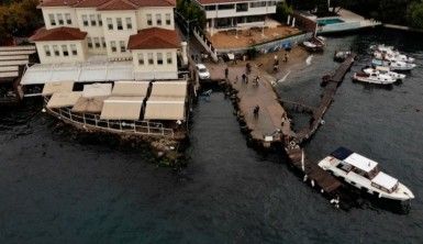 Üsküdar Bekar Deresi'nin çözümsüz sorunu lağım kokusu