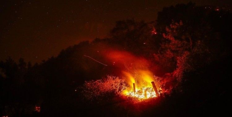 California’da yangın: 5 bin 500 hektar alan yandı