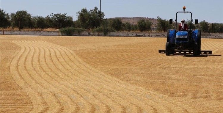 Denetimlerle Türk tarım ürünlerinin ihraç pazarlarındaki kalite imajı korunacak