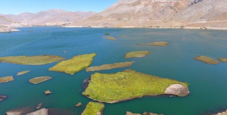 Binlerce yılda oluşan yüzen adaların su altı yapısı ilk kez görüntülendi
