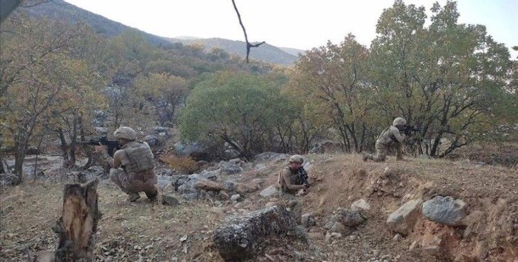 Bitlis'te Eren Kış-7 Şehit Jandarma Teğmen Baki Koçak Operasyonu başlatıldı