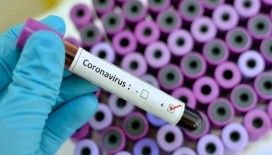 Son 24 saatte koronavirüsten 193 kişi hayatını kaybetti