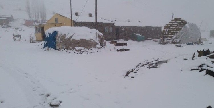 Tuzluca'da kar yağışı etkili oluyor
