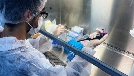 SARS-CoV-2’nin varyantları KKTC’de belirleniyor