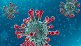 ABD'de yeni koronavirüs tedbirleri yürürlüğe girdi