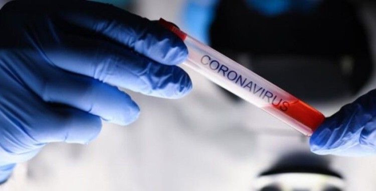 Son 24 saatte koronavirüsten 187 kişi hayatını kaybetti