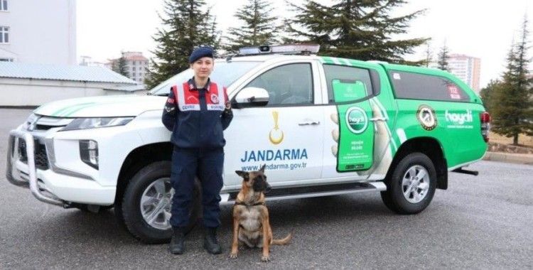 Jandarma hayvan koruma timi görev başında