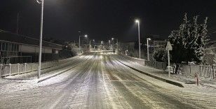 Japonya’da şiddetli kar ve buzlanma nedeniyle 215 kişi hastanelik oldu