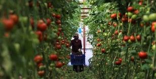 Türkiye'de 2021 yılında 124 milyar TL'lik tarımsal varlık sigortalandı