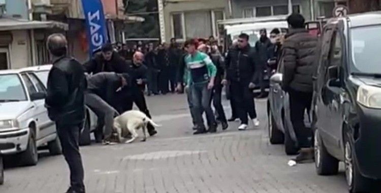 Malatya’daki pitbullu saldırı anı kamerada