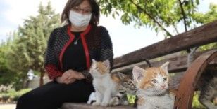 Gaziantep Büyükşehir Belediyesi, 2021 yılında yaklaşık 7 bin sokak hayvanının tedavisini üstlendi
