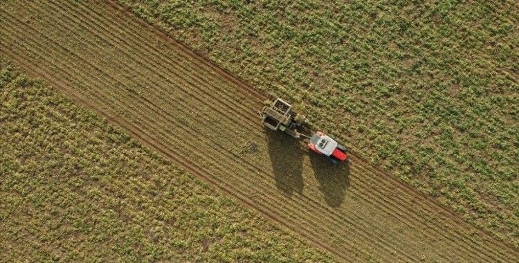 TARIMKON'dan 'iklim değişikliğine çiftçilerin adaptasyonu sağlanmalı' çağrısı