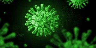 İtalya’da korona virüs salgınında vaka rekoru