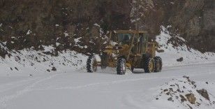 Muş’ta 55 köy yolu kar nedeniyle ulaşıma kapandı